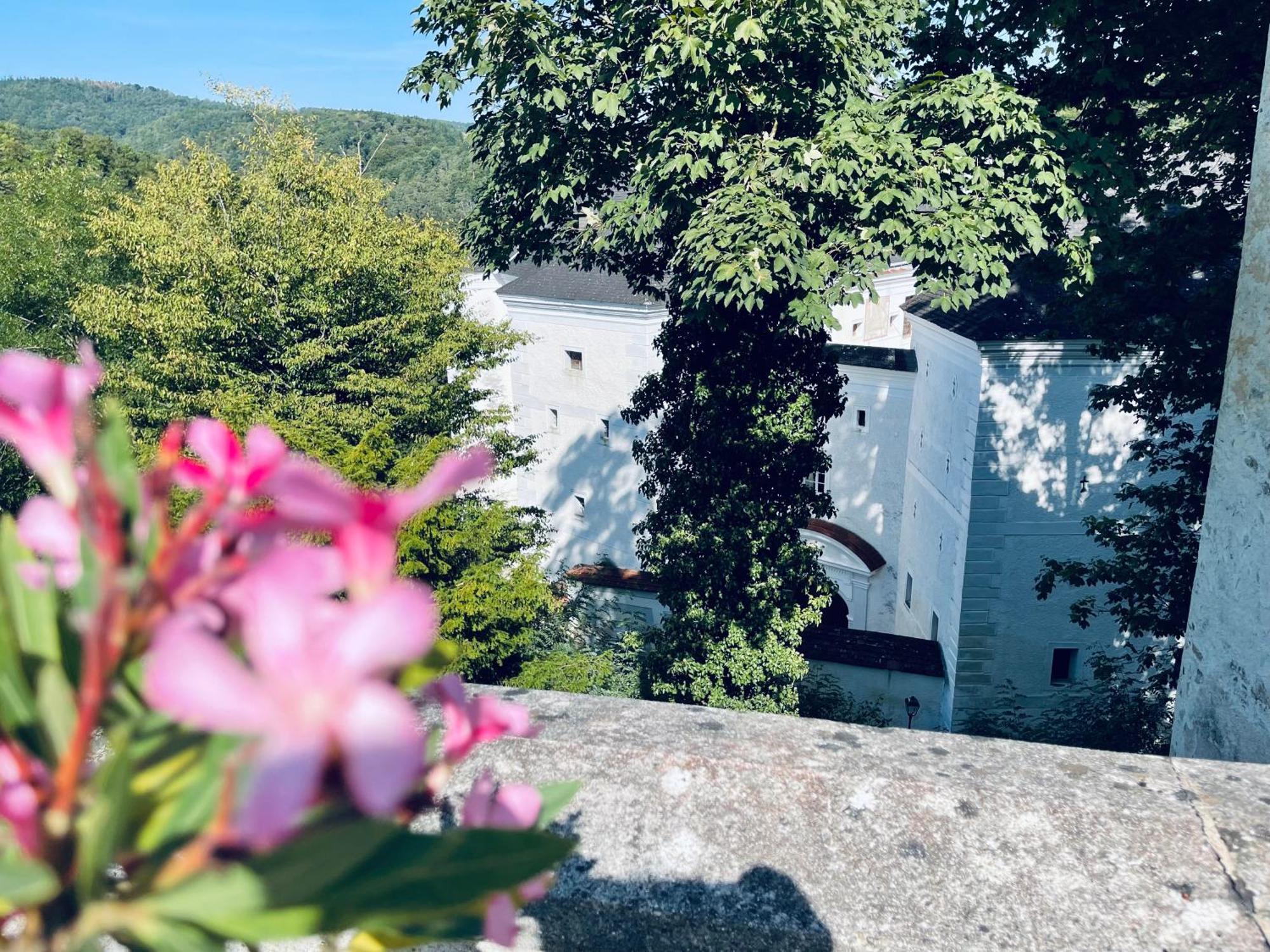 Der Turm Leiben Apartments Экстерьер фото